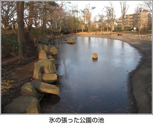 氷の張った公園の池 写真