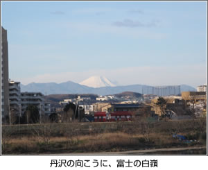 丹沢の向こうに、富士の白嶺　写真